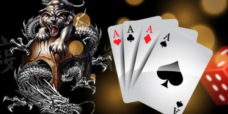 Sự hấp dẫn của casino rồng hổ